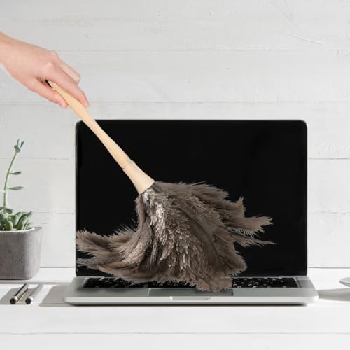 Image of Superio Ostrich Feather Duster Fluffy Dust Remover, with Wooden Handle Reusable for Cleaning Homes, Ceilings, and Furniture (6 Pack)