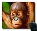 Produktbild Baby Orang-Utan Affe Affentiere Customized Mouse Pad Rechteck Mouse Pad Gaming Mouse Matte 01026