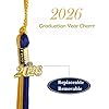 Graduation Cap Tassel with 2026 Gold Year Charm, 9 Inch Long (Lemon Green)