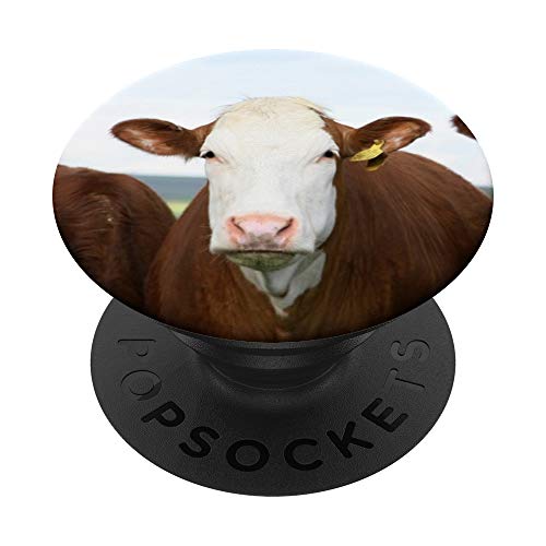 Animal Beef Bovine Brown Cattle Countryside Cows PopSockets PopGrip: Agarre intercambiable para...