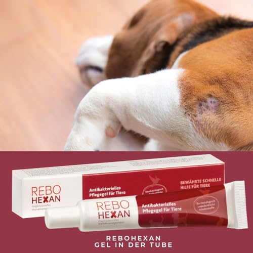 ReboHexan Gel 20 ml für Haustiere: Antibakterielle Wundpflege, Pflegt und reinigt die Haut und unterstützt eine hygienische Umgebung, Hautfreundlich, Einfach anzuwenden