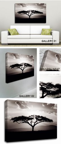 GFM Painting Reproducción de pintura al óleo pintada a mano del árbol africano en el atardecer Arte Contemporáneo, Pintura al óleo de Arte Abstracto Arte Contemporáneo - 16 por 20 pulgadas