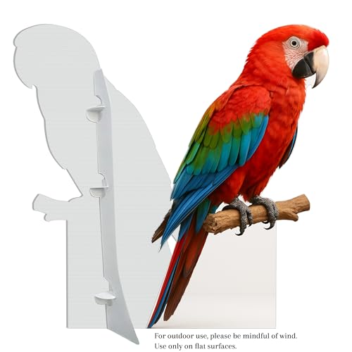 Image of Parrot 5FT Life Size Cardboard Cutout - A Fun Animal Standup for Photo Booths, Birthday Parties, and Events