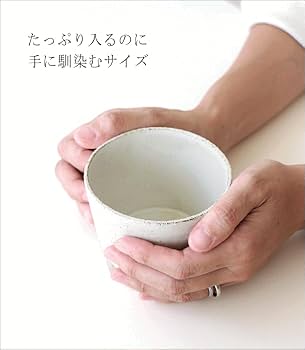 トヒ　箱マグ　送料込み BCAP162110G 防水・防塵開閉式プラボックス BCAPシリーズ タカチ