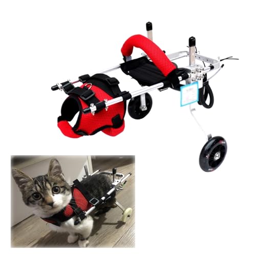 Silla de ruedas para perros con dos ruedas estables para gatitos discapacitados 2