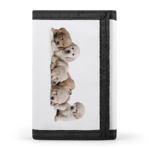 [YINGDAB] O܂z S[fgo[ 킢   ~jz J[hP[X z D fB[X Y J[h K Wallet  RpNg e ^ v[g