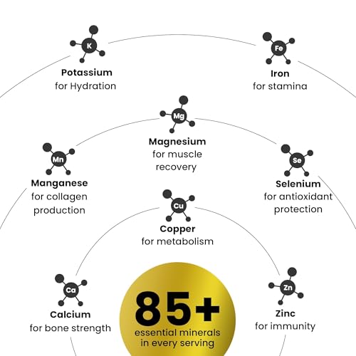 Image of Better Alt Gold+ Shilajit Gummies | With Ashwagandha, Safed Musli,Shilajit Resin & Ginger |Helps Boost Energy & Improves Stamina |1-Month Dietary Supplement|60 Gummies