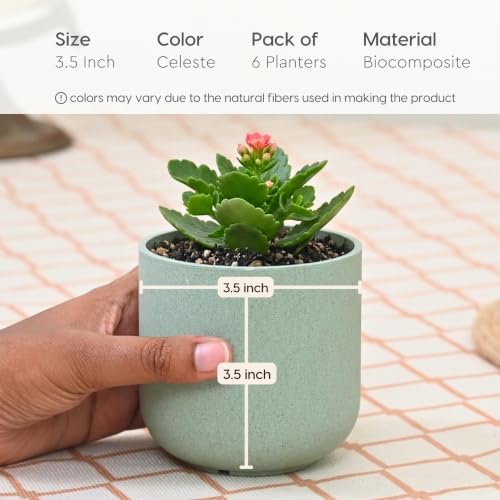 Image of Eha Earth-Friendly Terrapod Planters for Home Decor | 3.5 Inch, Pack of 6 | Small Plant Pot Made with Rice Husk Biocomposite | Flower Pot for Living Room | Celeste