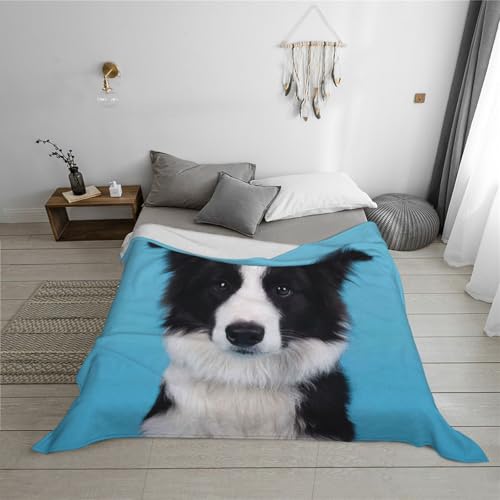 Couverture flanelle Border Collie super douce toutes saisons - 6
