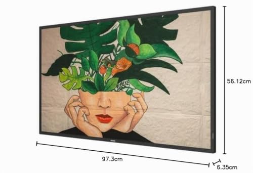 Philips 43BDL4511D00 - vue 9