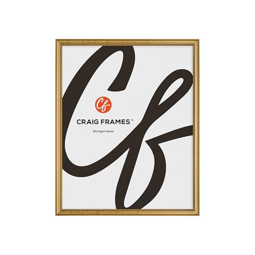 Craig Frames 16x20 Ornate Gold Picture Frame – Traditional Thin Wood Design with Plexiglass & Backing, Includes Hanging Hardware, Style 314GD
