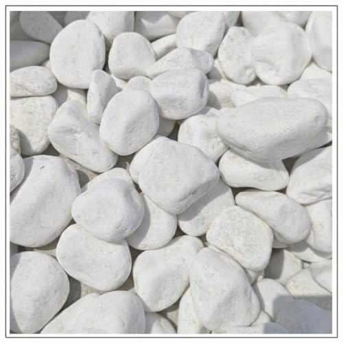 V-PREMIUM SOLUTION Weiße Kieselsteine 1 kg Schneeweiße Dekosteine für Gartendeko Wege Blumentöpfe & Innenbereich 6-10 cm Thassos