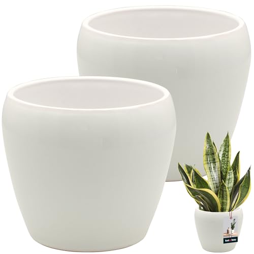 KOTARBAU® 2 maceteros blancos redondos para interior, 13,5 cm de alto, 14 cm de alto, de cerámica esmaltada, para interior, para orquídeas, macetas grandes