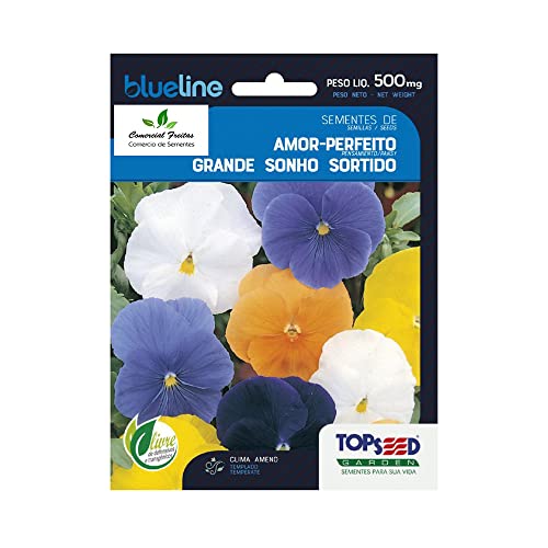 Sementes de Amor Perfeito Grande Sonho Sortido Env. C/ 500mg