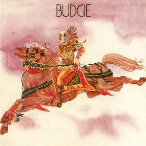 Budgie
