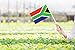 50 Pack South Africa South African on Stick Flags,Small Mini Hand Held South Africa South African Flags 5.5x8.3 Inch, Grand Opening, Carnival,Party Events Celebration