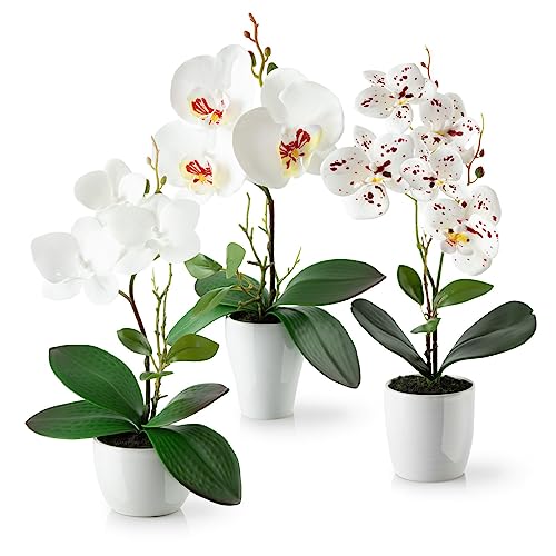 PASCH® Kunstblumen im Topf (35cm) - 3er Set Orchideen künstlich abgestimmtes Arrangement in Hochglanz-Keramiktöpfen, Deko Blumen künstlich, künstliche Orchideen (Weiß-Arrangement)