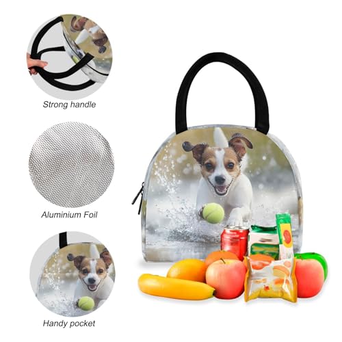 Backpack Lunch Bag Set Dog and Ball Print, Big Storage Travel Backpacks with Insulated Lunch Box for Office Hiking Picnic4