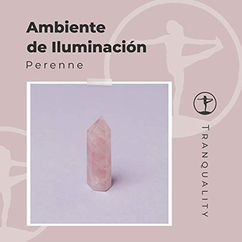 Ambiente de Iluminación Perenne