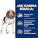 Hill's PRESCRIPTION DIET Canine Weight Loss r/d Dry dog food Chicken 10 kg