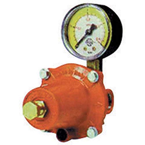 Comap Regolatore Gpl Di Alta Pressione Con Manometro Modello Apz250 Kg/H 30