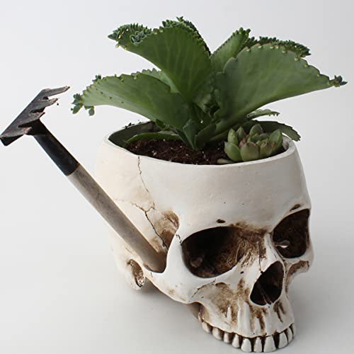 Uonlytech Caveira Cabeça Plantador Cabeça Caveira Vaso de Flores Porta-Caneta Esqueleto Crânio Estat