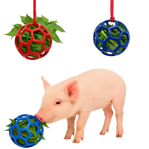 Hanging Chew Ball Toy