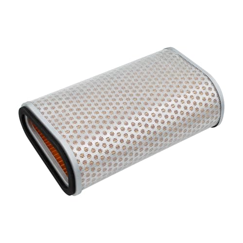 Filtre à air de moto pour série CBF1000 CBF1000B à CBF1000F