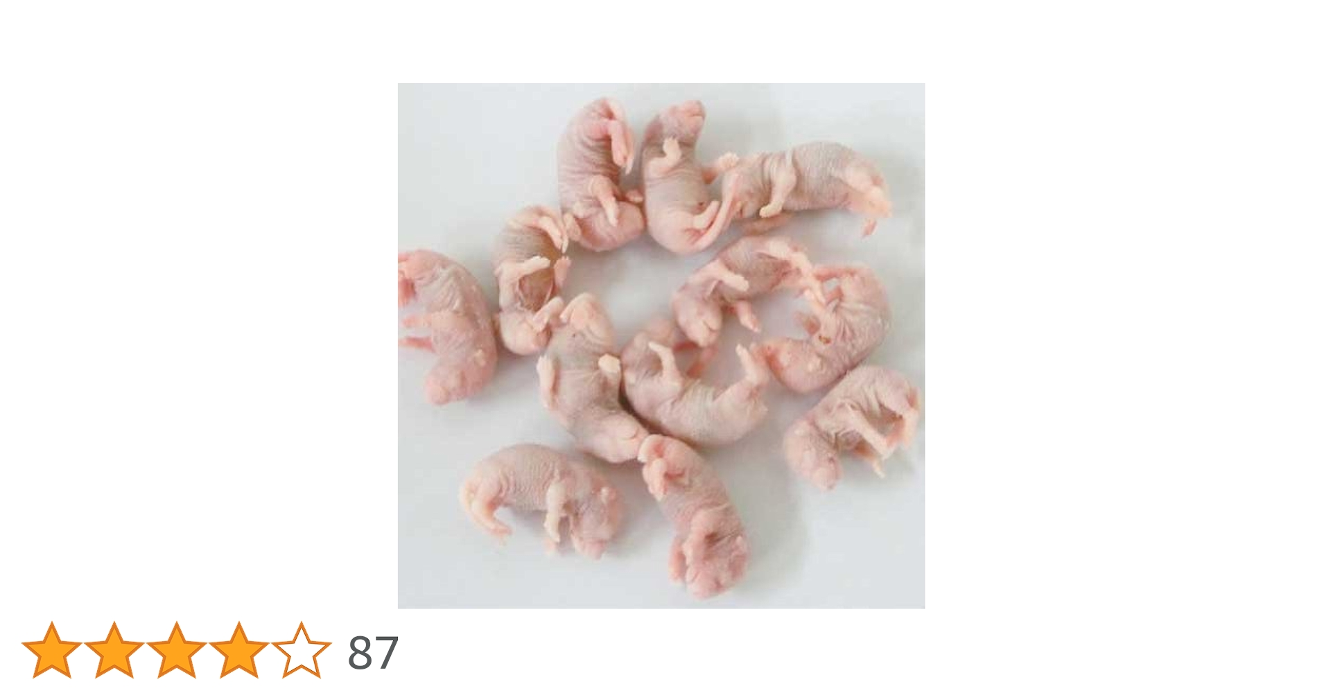 Amazon | 冷凍ピンクマウス S 30匹 | オリジナル | フード 通販