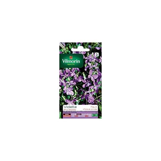 Vilmorin - Bustina semi Violetta 4 stagioni profumati