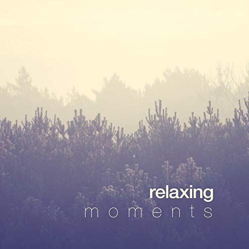 30 Relaxing Moments Music for Quiet Moments Everything Else