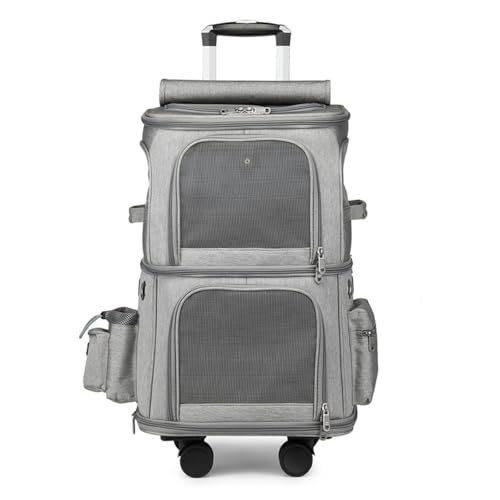 TyoksiL 2 C L[ bN LX^[t ^  ^Cbh̎OL[ J[g 2i ybg lR  g[obO e ʋC s/ʉ@/ʋ@/ЊQp O[ (O\f,ubN)