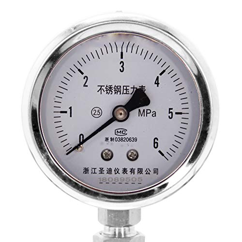 Baoshishan Hydrothermal Synthesis Autoclave Reactor Can Connected Hydrogen Gas With Polytetrafluoroethylene Lining Pressure Gauge For 180C 3Mpa (100Ml) #TOP3