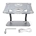 Ergonomiczny Stojak na Laptopa ze Stopu Aluminium z 2 Komputerowymi Wentylatorami Chłodzącymi, Składany Przenośny Uchwyt Chłodzący na Laptopy od 10 do 17,3 Cala(Głęboka kosmiczna szarość)