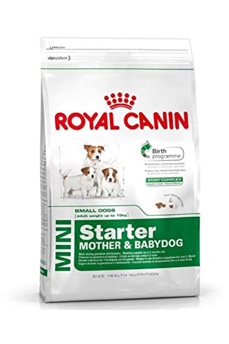 Royal Canin Hundefutter Mini Starter 3 kg, 1er Pack (1 x 3 kg)