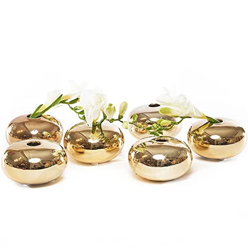 Chive - Set Of 6 Jojo Small Oval Ceramic Flower Vase, Decorative Modern Floral Vase For Home Decor Living Room Centerpieces And Events, Cute Bud Vase (Gold) #TOP21