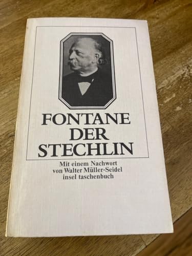 Der Stechlin: Roman (Manesse-Bibliothek der Wel... [German] 3717515020 Book Cover