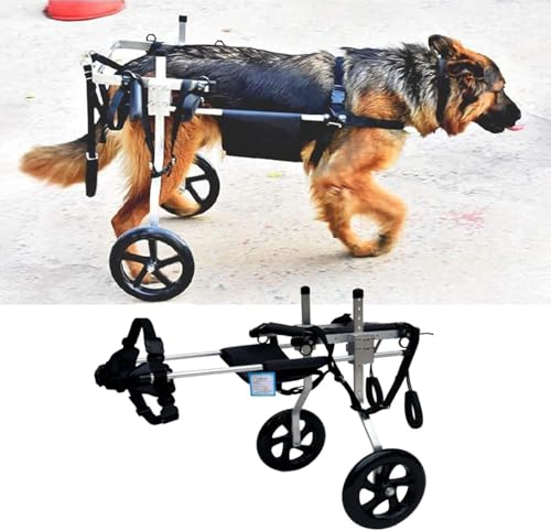 Fauteuil roulant pour chien handicapé Lar réglable deux roues - 2