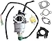 XURUED Kit di Ricambio Carb for homelite 16100 -Z191110 PS905000A PS905000B PS906025 PS9C5001 Facile da installare
