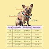Hundegeschirr für mittelgroße Hunde | Arizona Hotdogs Softgeschirr Sweet Love | Herzmuster (M)