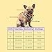 Hundegeschirr für mittelgroße Hunde | Arizona Hotdogs Softgeschirr Sweet Love | Herzmuster (M)
