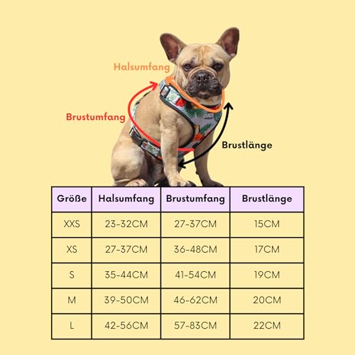 Hundegeschirr für mittelgroße Hunde | Arizona Hotdogs Softgeschirr Sweet Love | Herzmuster (M)