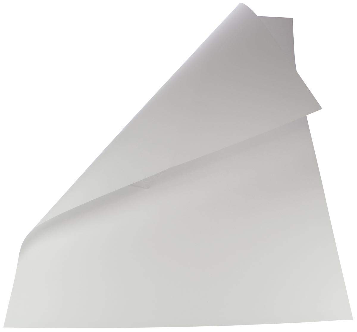 Folia Bringmann 6100 folia Pack de 10 feuilles de carton photo 300 g/m² 50 x 70 cm (Blanc) (Import Allemagne)