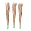 My Shop Coconut Fiber Broomstick for Wet Floor, Garden, Outdoor Cleaning Brooms Bathrooms and Wet Floor Cleaning (4)