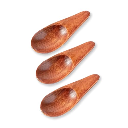 3 Pieces Mini Wooden Spoons, Small Salt Spoon with Short Handle Mini Wood Scoop for Spice Jars Tea Coffee Milk Powder