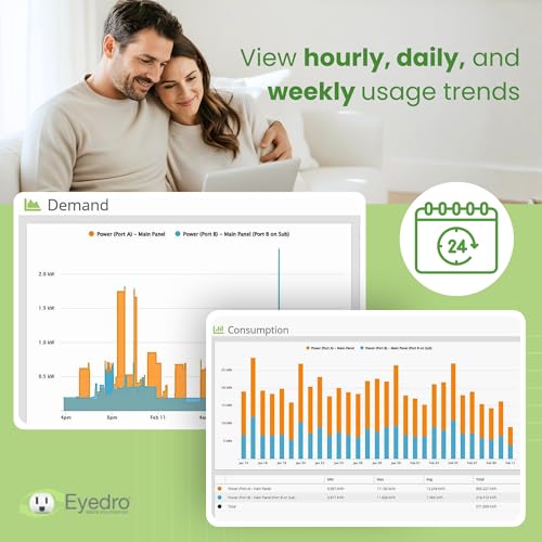 Eyedro Home Energy Monitor – Real-Time Electricity Usage Monitor with Solar Net Metering – Whole House Power Consumption Monitor – WiFi/Ethernet Smart Energy Meter with Reports & History, 2 Sensors