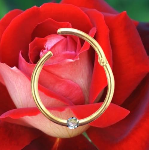 Generisch I Clicker Piercing I Maße: 1,0 x 10 x 1,4 I Echter Diamant + Echt 585 Massiv Gelbgold I