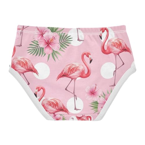 Toddler Briefs, Cute Flamingos Girls' Cotton Brief Underwear, 2–8 Years2