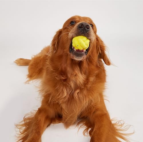 Image of BarkButler x FOFOS Super Bounce Toys Cross Ball- Dog Ball Toy, Chew Toys for Dogs, Dog Toys for Medium Dogs (0-20kgs) - Yellow