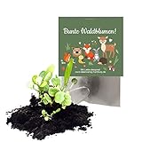 Lieferumfang: 10x Motto-Samenbomben, einzeln und 100% plastikfrei verpackt